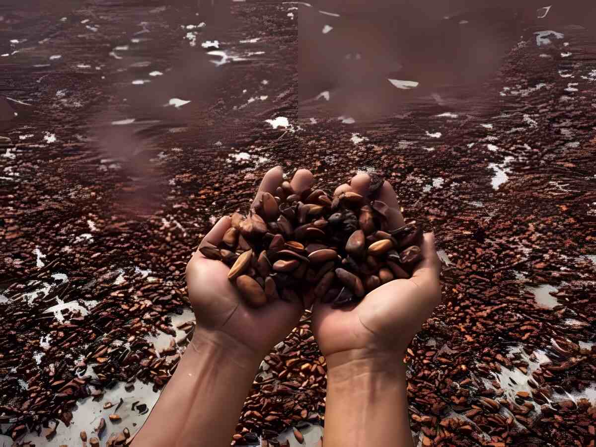 Jual Terpal Pertanian