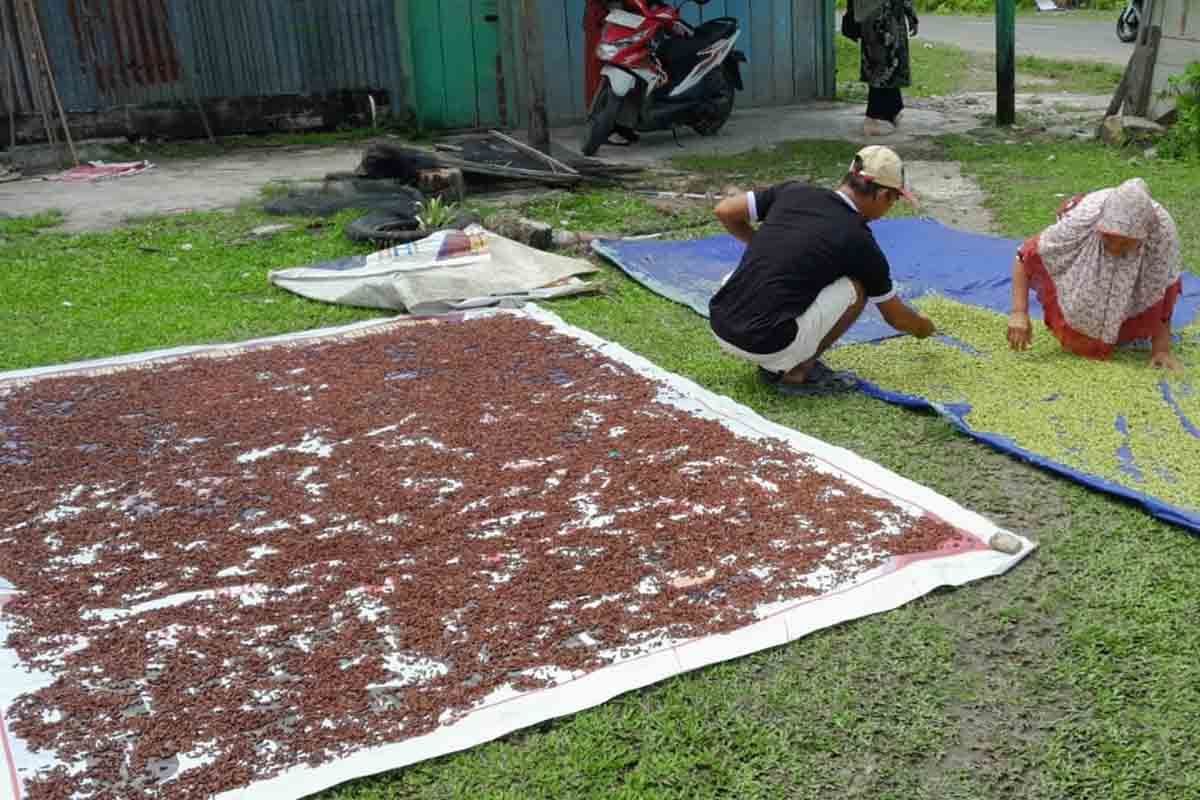 Terpal 4x6 Palembang