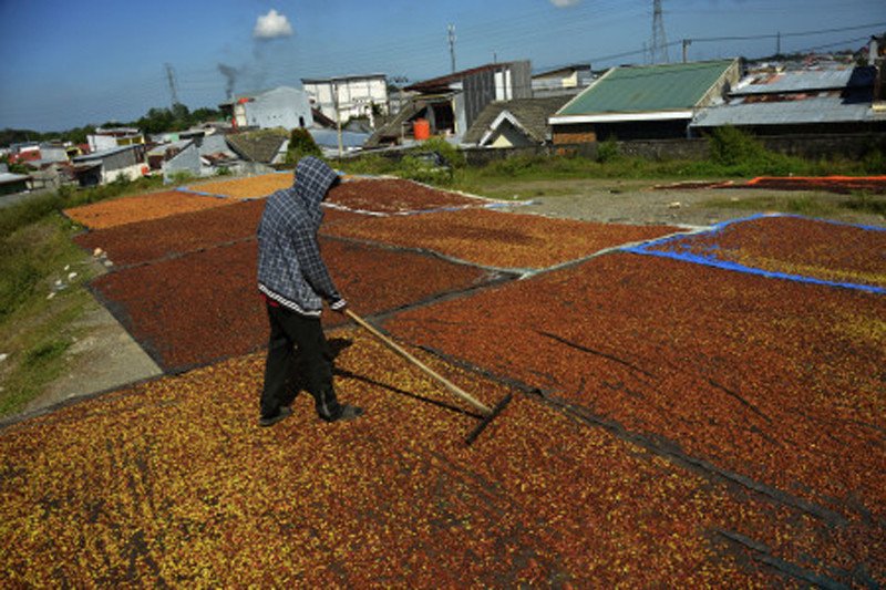 Jual Terpal Pertanian