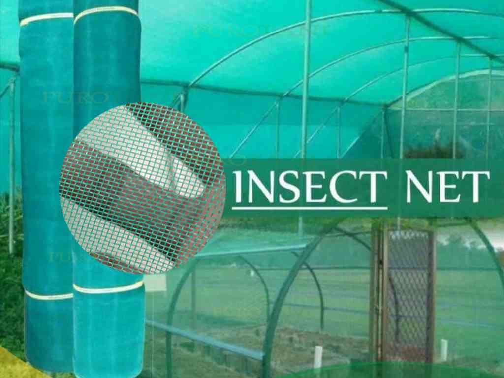 INSECT NET DI PALEMBANG