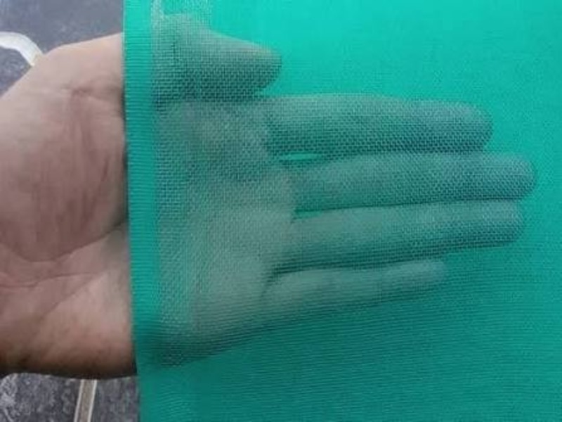 JUAL INSECT NET DI PALEMBANG