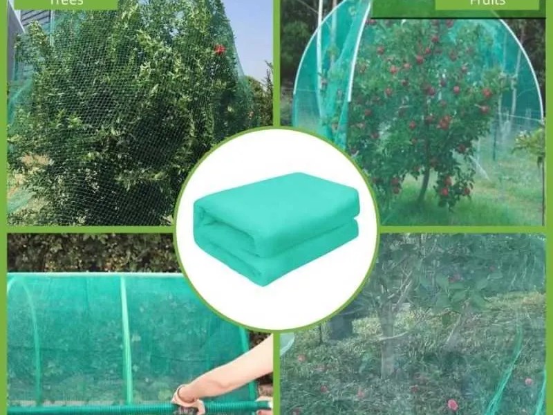 INSECT NET HIJAU DI PALEMBANG